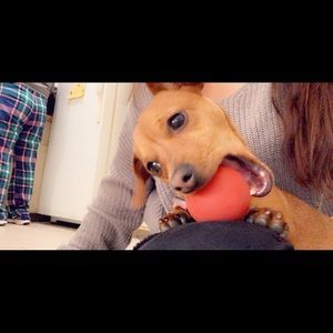 Meet your Posher, Jackie